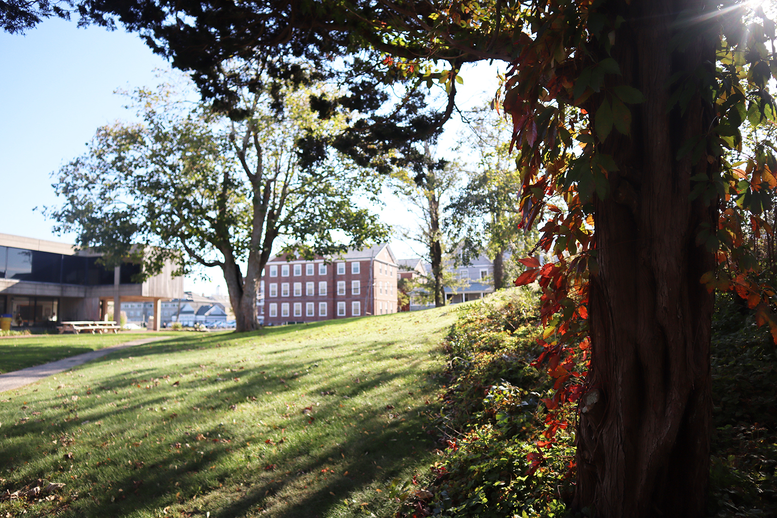 MBL Campus in Fall.