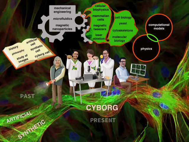the group of cyborg cell researchers works together to learn about cells