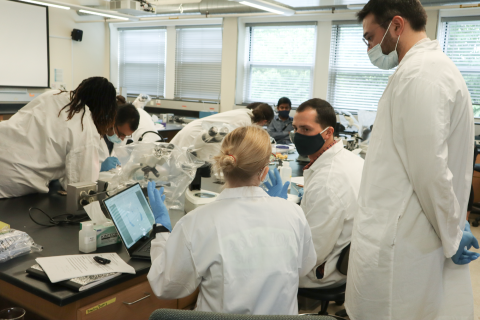 Students in the 2022 ECHO Course perform lab work. Credit: Emily Greenhalgh