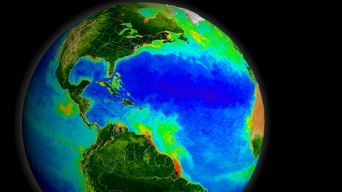 Phytoplankton blooms in the global ocean. Credit: NASA Goddard