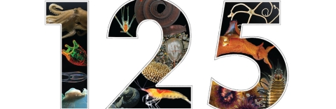 portion of Biological Bulletin cover August 2022