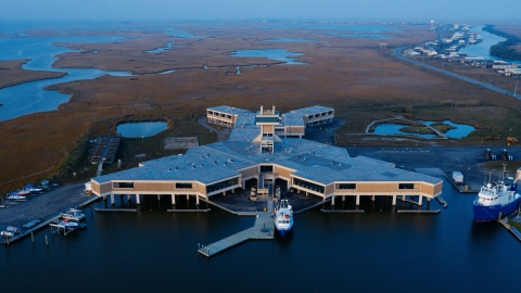 DeFelice Marine Center in Louisiana. Copyright Hakai Magazine