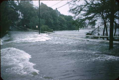 1954 Hurricane Carol Woods Hole School Street flooding from Eel Pond across road at lowest point Credit Oliver B Brown Courtesy Woods Hole Historical Museum 1131 