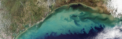 Sediment in the Gulf of Mexico. Credit: MODIS Satellite Image - NASA