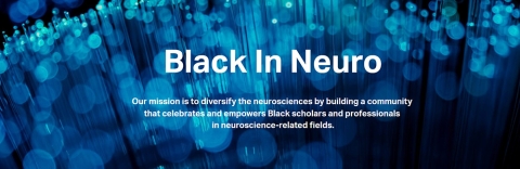 Black in Neuro website