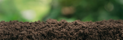 Photo of soil