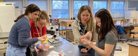high school students do lab work with MBL's Carrie Albertin