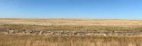View of a prarie in Alberta Canada