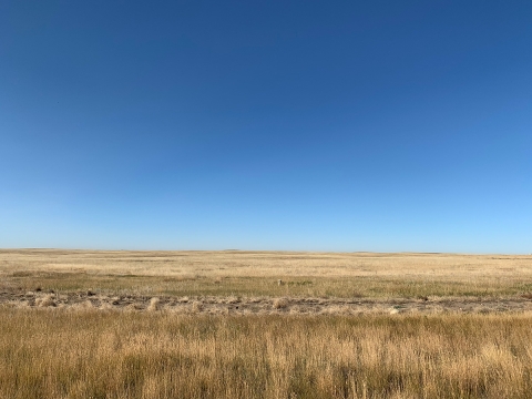 Plains in Alberta, CAnada