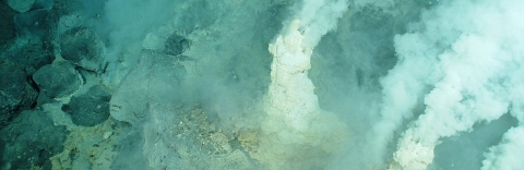 hydrothermal vents in Mariana Arc region.