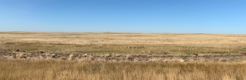 View of the prairie in Alberta, Canada