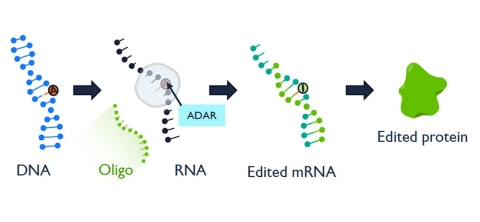 cartoon of RNA editing