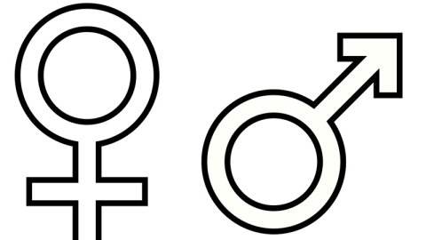 gender symbols wikimedia commons 
