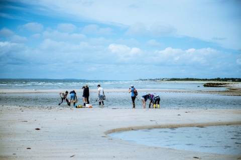 University of Chicago students sampling at Wood Neck Beach