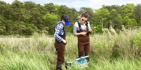 Environmental Fellows Sarah Kaplan of The Washington Post and María Mónica Monsalve of El Espectador field sampling in Woods Hole. 
