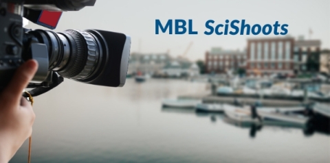 Camera in foreground, MBL in background