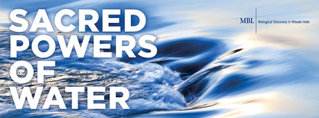 sacred powers of water text over water graphic
