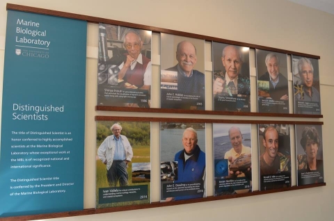 Distinguished Scientists of the Marine Biological Laboratory banner on wall
