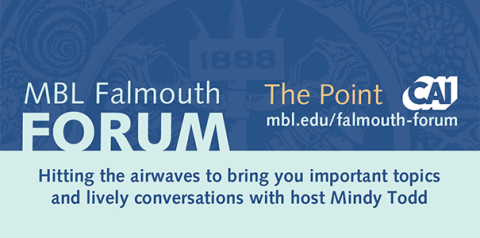 MBL Falmouth Forum banner with CAI logo