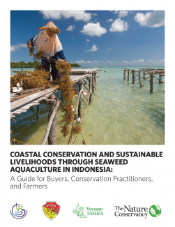 COASTAL-CONSERVATION-AND-SUSTAINABLE-LIVELIHOODS-THROUGH-SEAWEED-AQUACULTURE-IN-INDONESIA