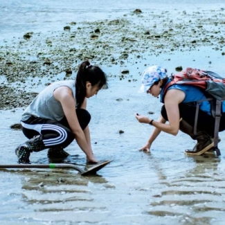 University of Chicago students sampling at Wood Neck Beach in Falmouth in 2017. Credit: Megan Costello