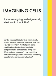 Exhibit panel 13 - Imagining Cells