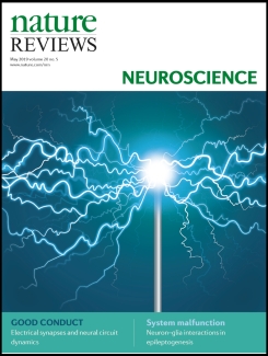 Cover image of Nature Reviews Neuroscience, illustrating an electrical synapse. Credit: Nature Reviews Neuroscience