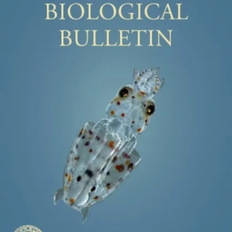 biological bulletin magazine with squid on cover