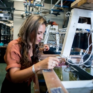 Alexandra Schnell in the Cephalopod Mariculture Facility at the Marine Biological Laboratory, Woods Hole, Massachusetts. Photo courtesy the Grass Foundation.