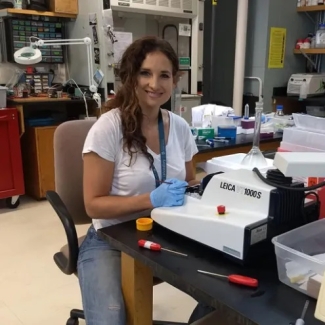 2019 Grass Fellow Laura Cocas in the Grass Lab at MBL. Cocas is returning in 2021 as associate director of the Grass Lab. Credit: Melissa Coleman