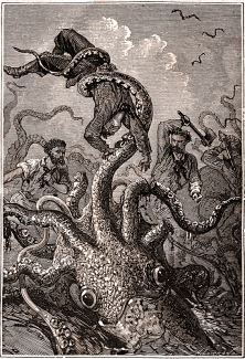 The giant squid has long been a subject of horror lore. In this original illustration from Jules Verne’s “20,000 Leagues Under the Sea,” a giant squid grasps a helpless sailor.