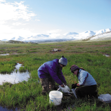 Scientists working at MBL Ecosytems Long-Term Ecological Research Station in Toolik Lake, Alaska