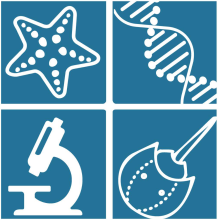 Graphic showing starfish, DNA, horseshoe crab and microscope