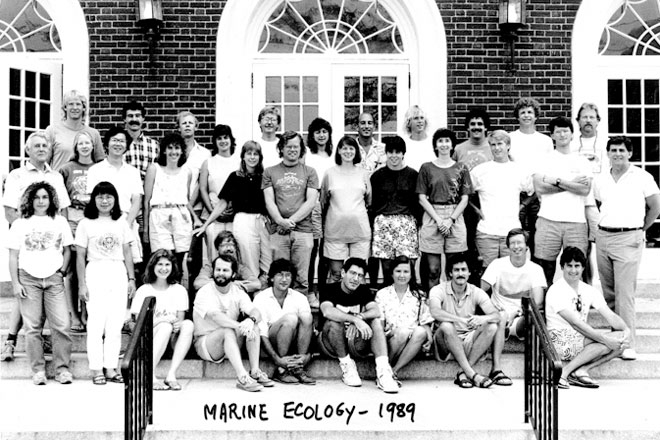 Marine Ecology 1989
