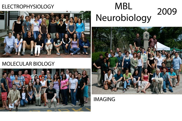 Neurobiology 2009
