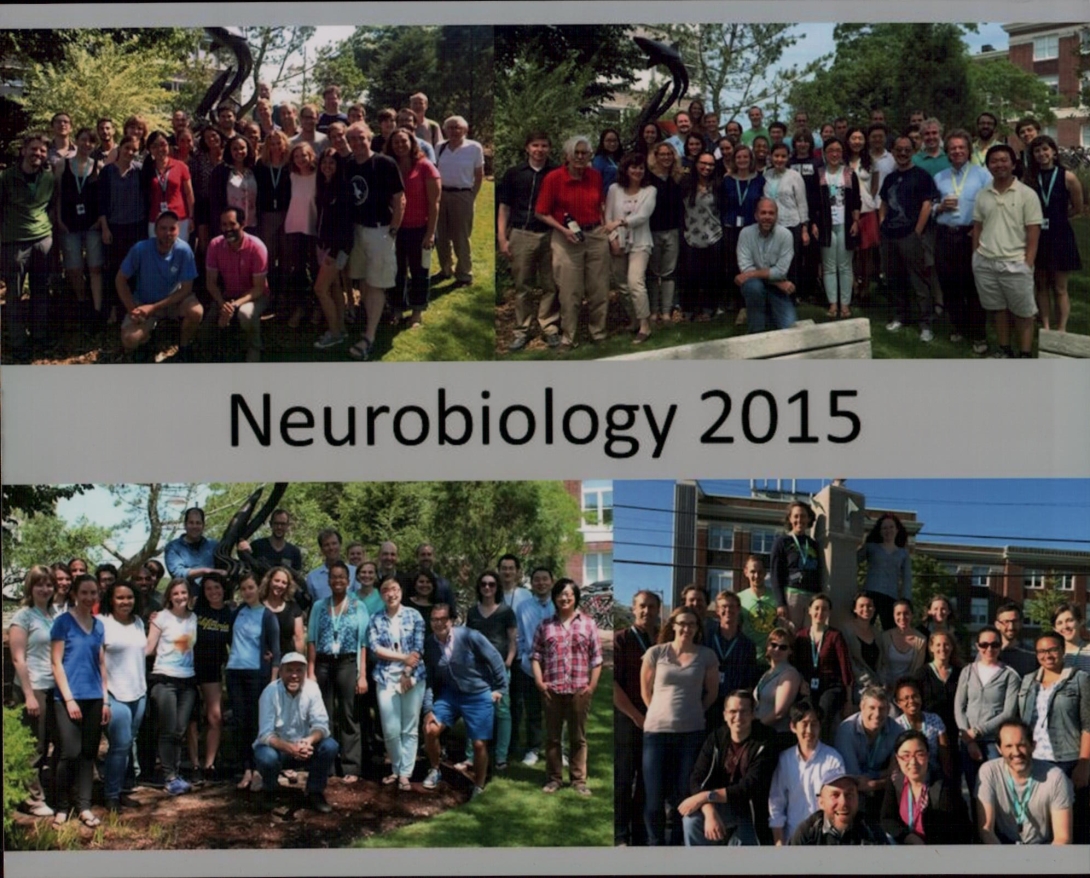 Neurobiology 2015