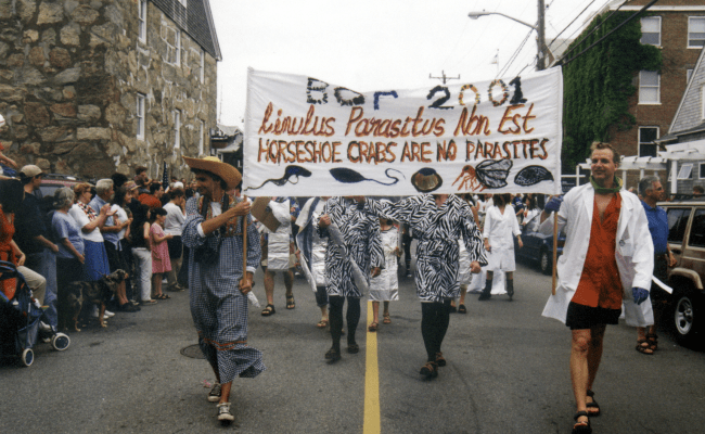 Biology of Parasitism ARTC students march in Woods Hole 4th of July Parade (2001) 