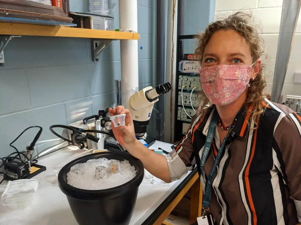 2021 Grass Fellow Carola Staedele studies the sensory system of ticks. Credit: Melissa Coleman