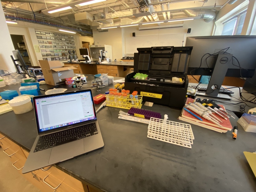 Lab space. Credit: Dyche Mullins