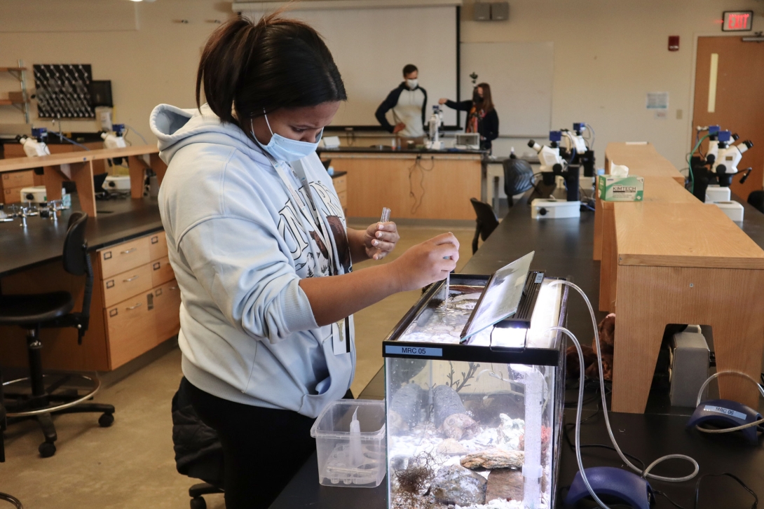 Students from Lynn Classical High School participate in the MBL's High School Science Discovery Program in February 2022. 