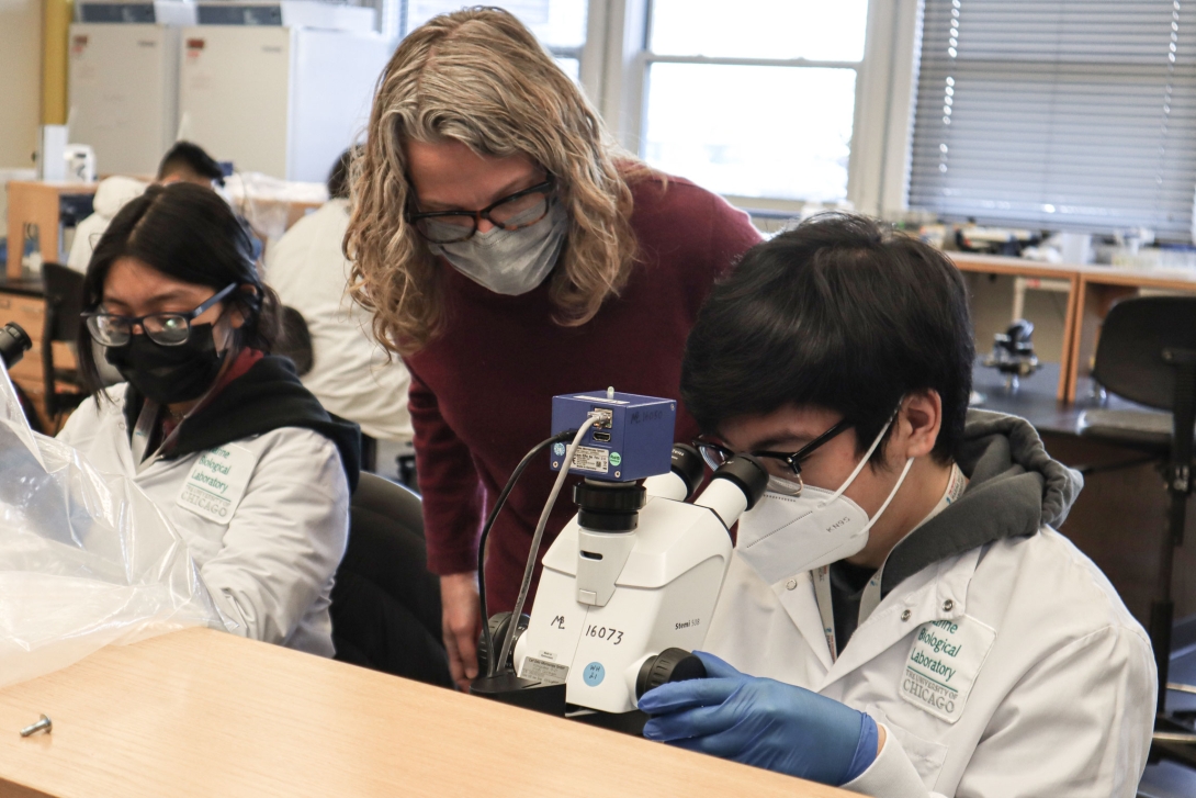 Students from Lynn Classical High School participate in the MBL's High School Science Discovery Program in February 2022. 