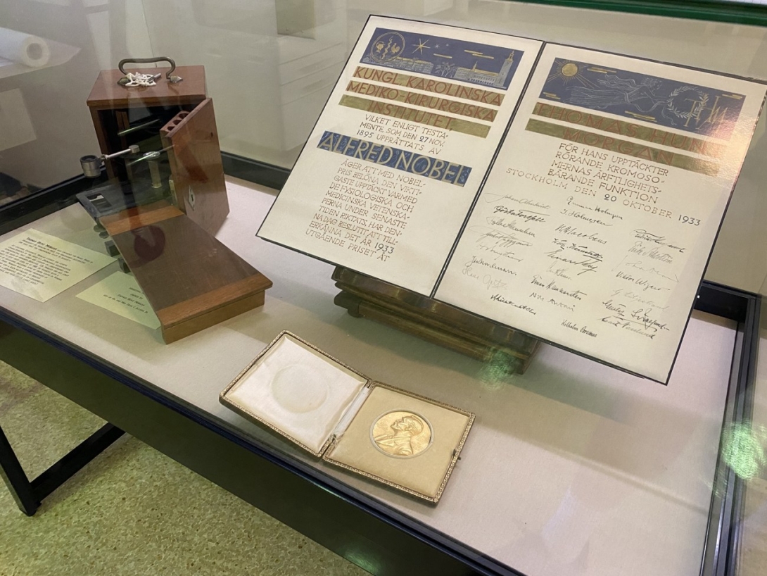 T.H. Morgan's Nobel Prize for his discovery concerning chromosomes inheritance carrying function. On display in the MBL-WHOI Library. Credit: Dyche Mullins