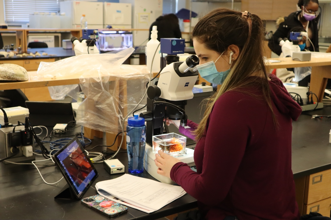 A student from the New Bedford Whaling Museum Apprenticeship participates in a High School Science Discovery Course at the MBL. Credit: Emily Greenhalgh