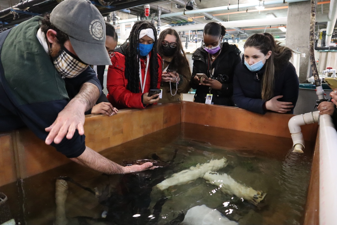 Students from the New Bedford Whaling Museum Apprenticeship Program tour the MBL's Marine Resources Center. Credit: Emily Greenhalgh