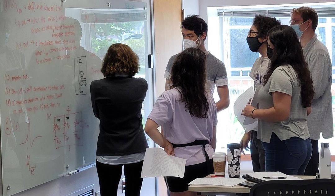 Students at a white board