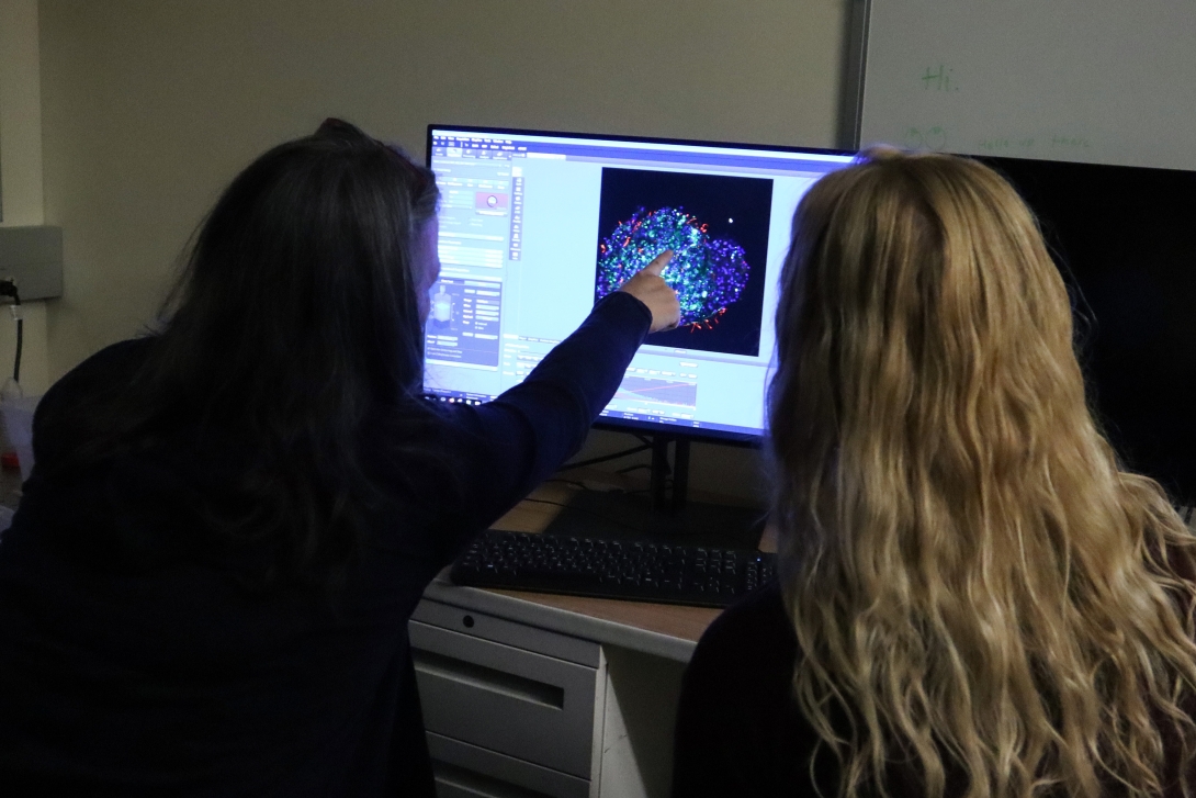 MBL scientist Karen Echeverri points to something on a screen during the 2022 Mini-Embryology Course at the MBL. Credit: Emily Greenhalgh 