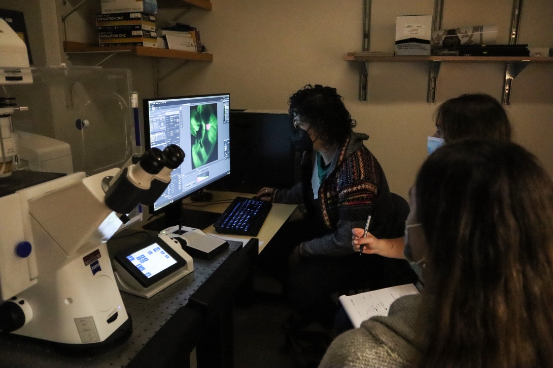 Three students in the 2022 Mini-Embryology course at the MBL look at an imaging sample in the microscope room. Credit: Emily Greenhalgh