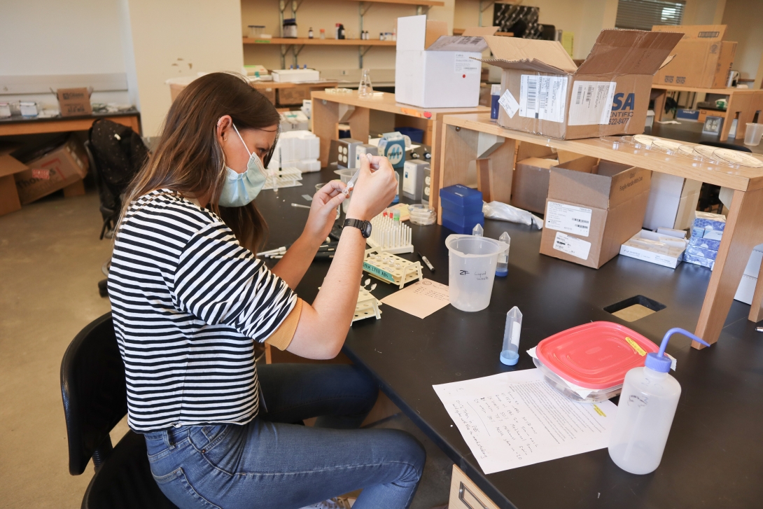 A woman organizes her lab space during the 2022 Mini-Embryology Course at the MBL. Credit: Emily Greenhalgh