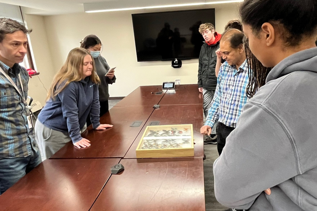 Students look at a box of butterfly specimens in a conference room