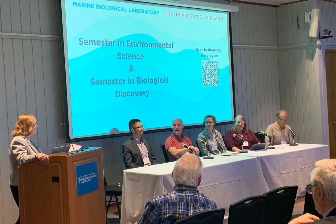 Mirta Teichvberg introduces a panel during the SES/SBD Symposium. Credit: Ashley Bolbrock